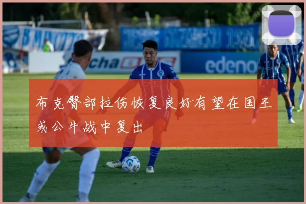 布克臀部拉伤恢复良好有望在国王或公牛战中复出